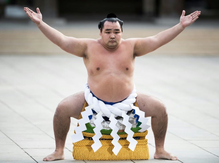 sumo wrestler